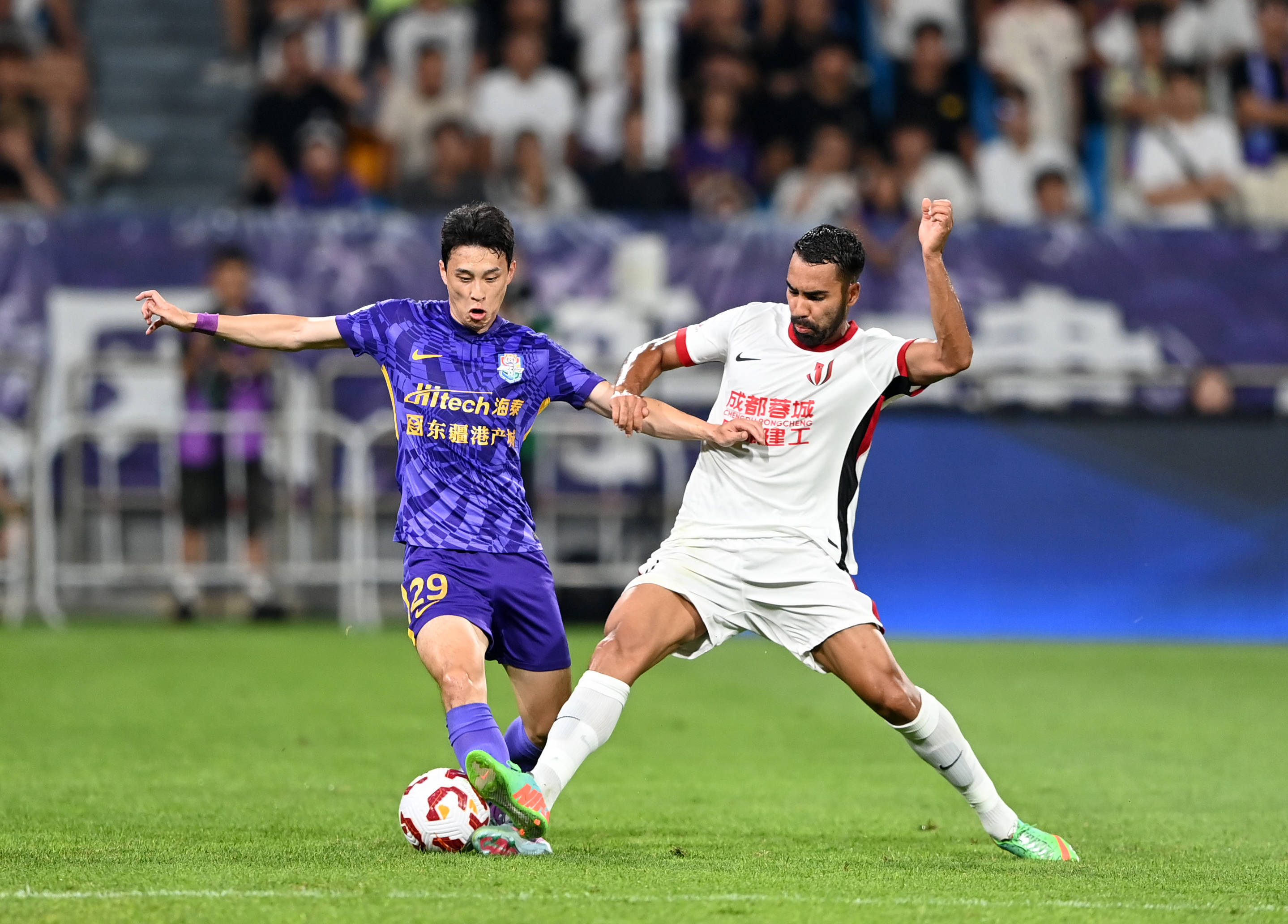 他们在东南 他们在东南