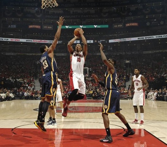 一个健康的 一个健康的