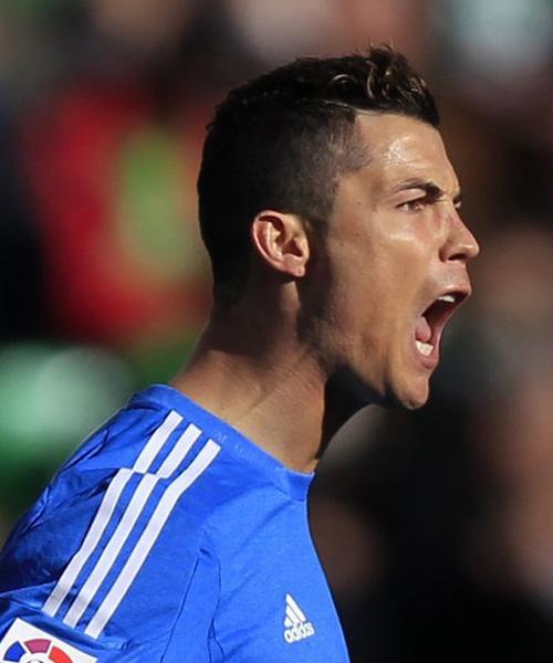 西的合作能 西的合作能