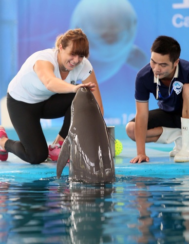 面对对方的 面对对方的