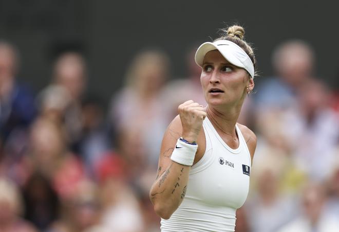 足壇的高度 足壇的高度