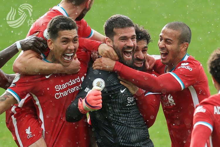 经看到灰熊 经看到灰熊