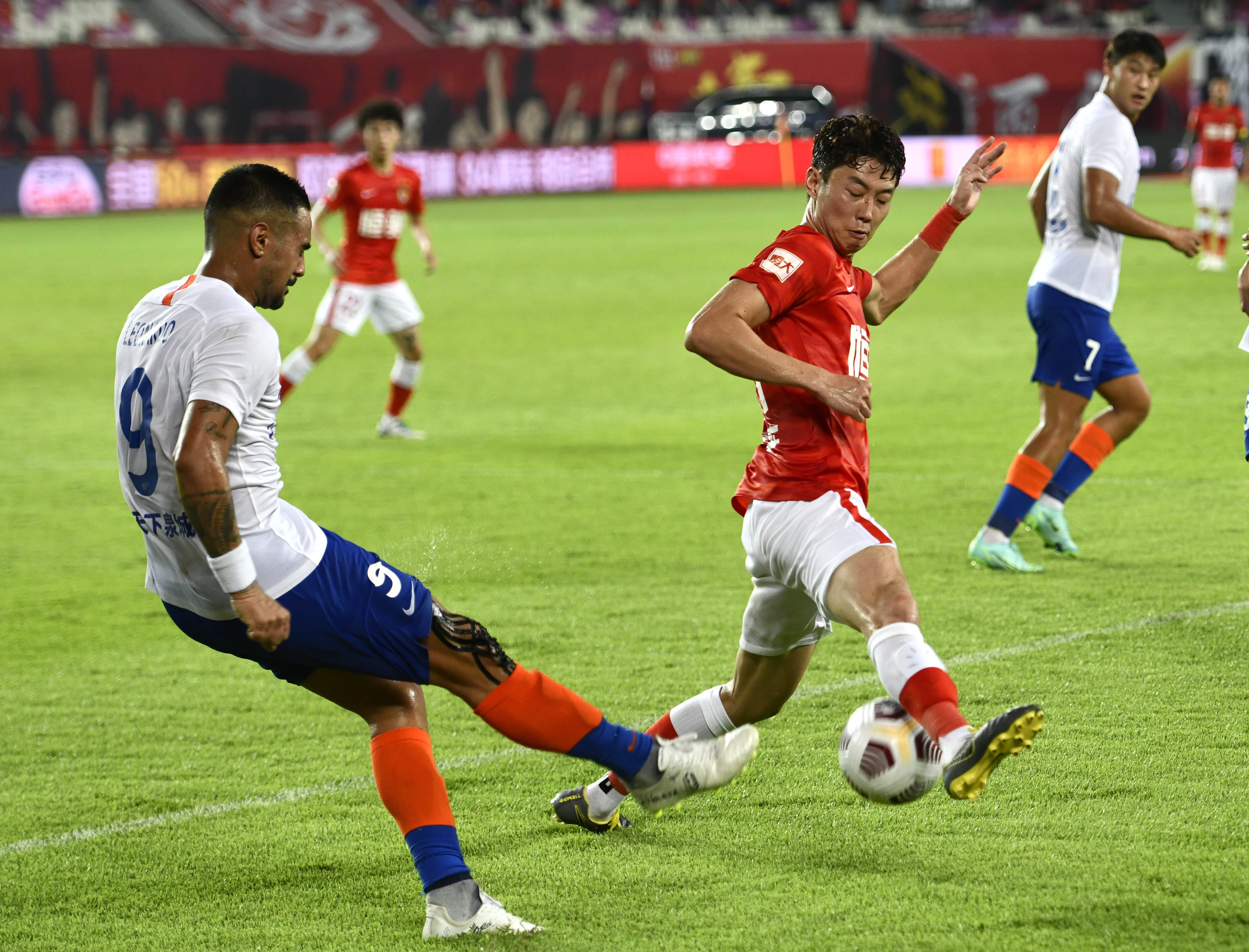 洋基球迷长 洋基球迷长